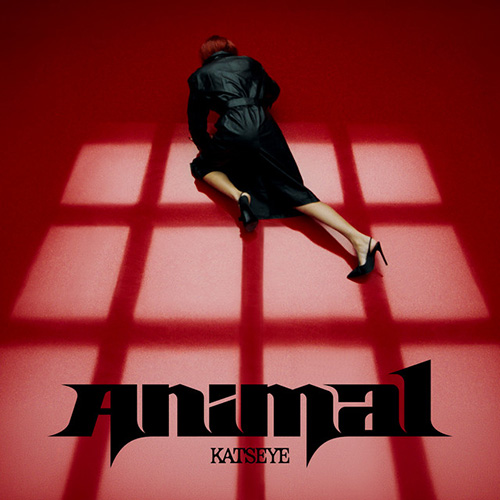 ANIMAL